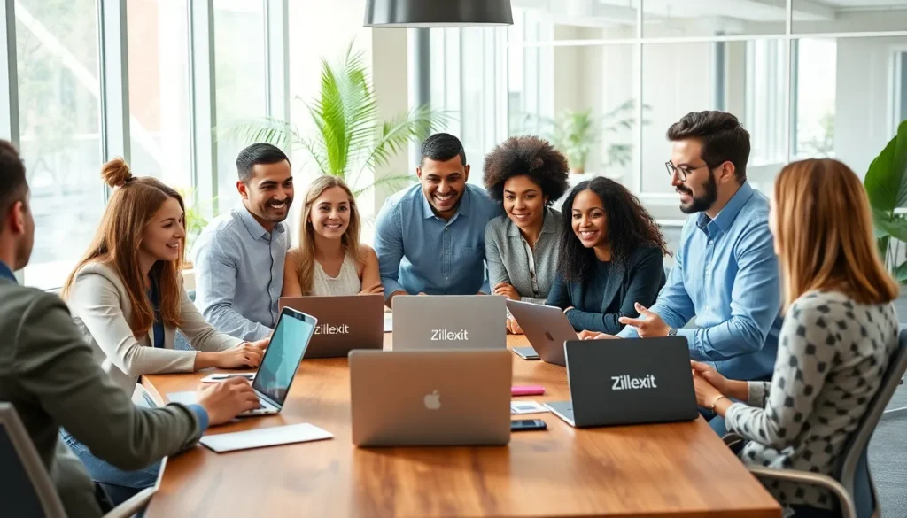 what is application in zillexit software